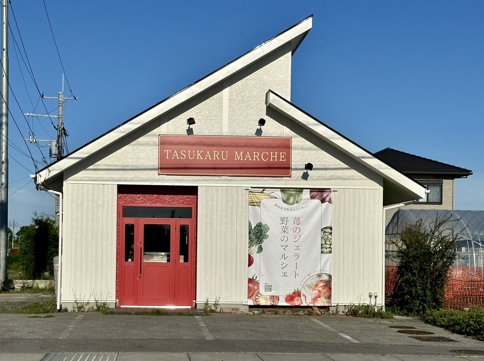 アイスクリーム　カフェ　内装　デザイン　観葉植物　棚　カウンター席　ワイズスタイル　Y's style　